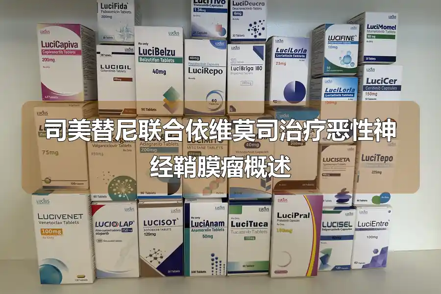 司美替尼联合依维莫司治疗恶性神经鞘膜瘤概述